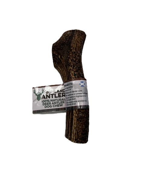 Highland Antler Extra Large