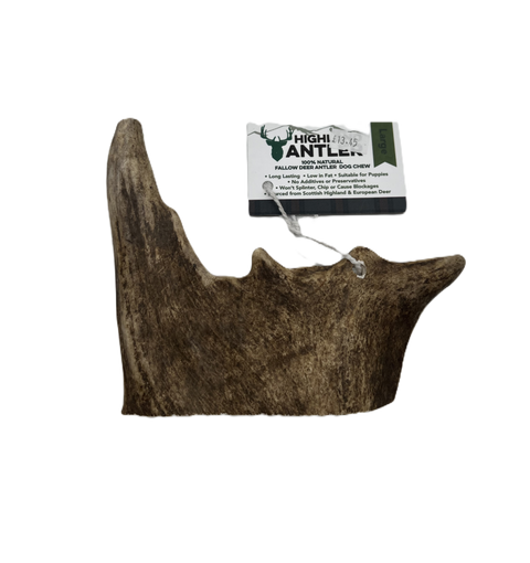 Highland Antler Fallow Large