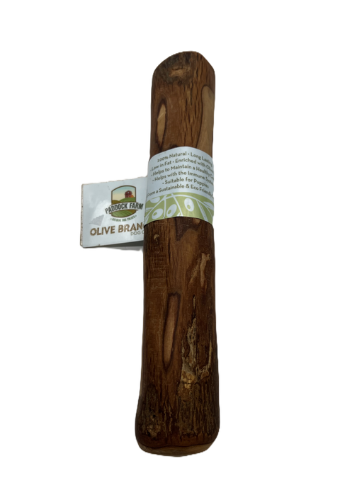 Origins Olive Branch Large
