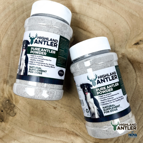 Nova Pure Antler Powder