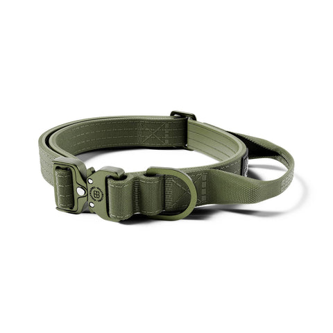 BullyBillows Light Combat Collar 2.5cm XS K,K