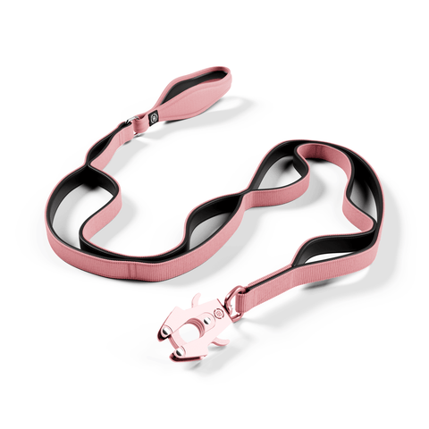 BB Ladder Combat Lead V2 Pink