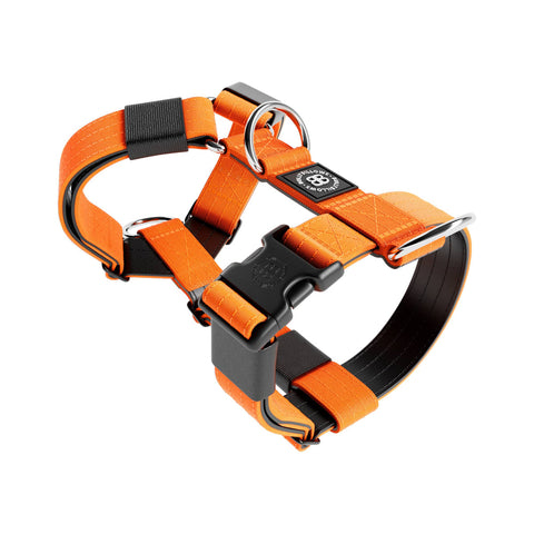 BullyBillows Tri Harness Size C Orange V2.0