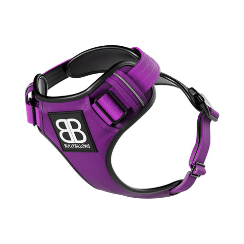 BullyBillows Premium Comfort Harness C Purple
