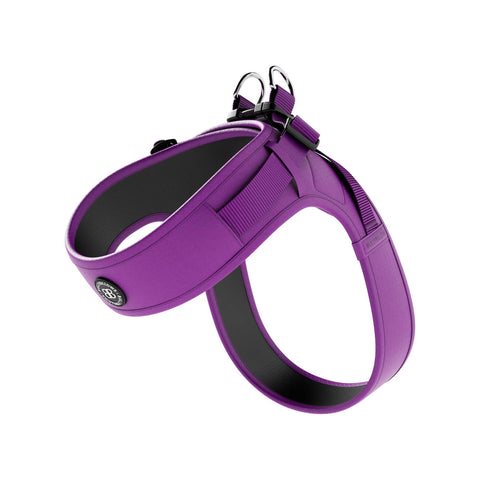 BB Boomerang Harness Lightweight XXSmall Purple