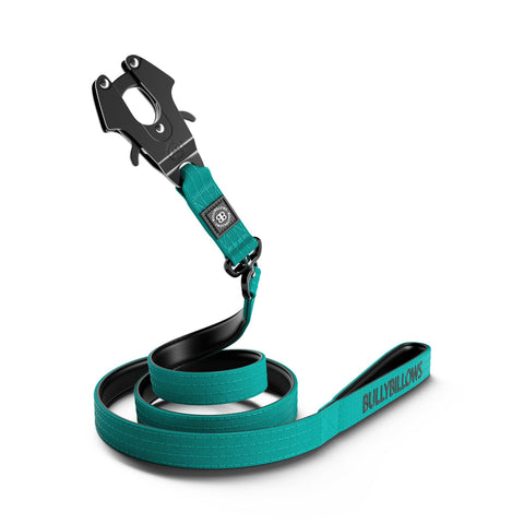 BullyBillows Swivel Combat Lead 1.4m Turquoise