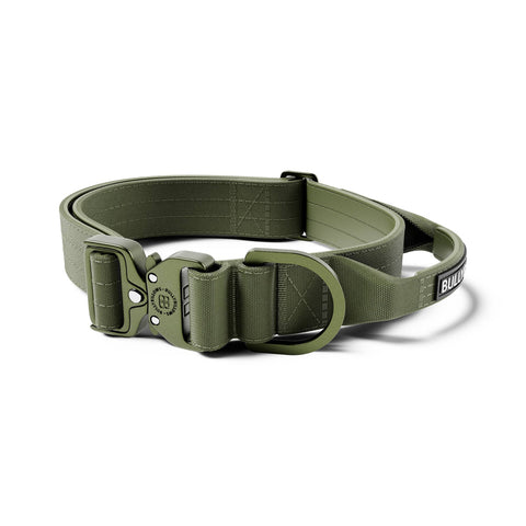 BullyBillows Light Combat Collar 4cm S K,K