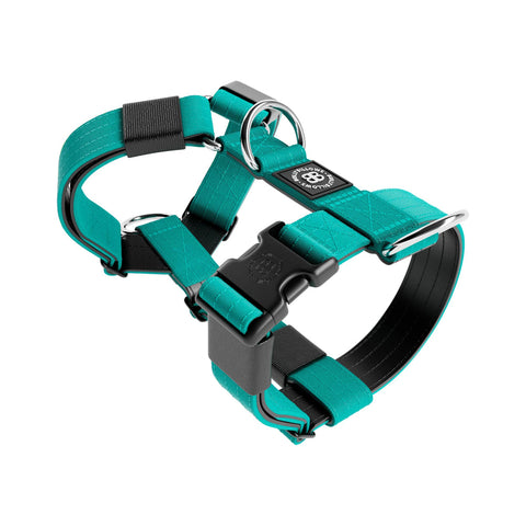 BullyBillows Tri Harness Size C Turquoise V2.0