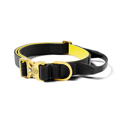 BB Light Combat Collar 2.5cm XS B,Y,G