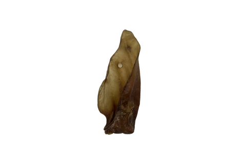 Nova Large Buffalo Ear