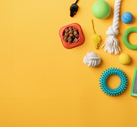 Dog Toys