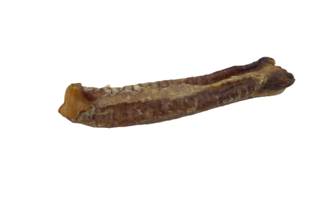 Anco Natural Goat Tube