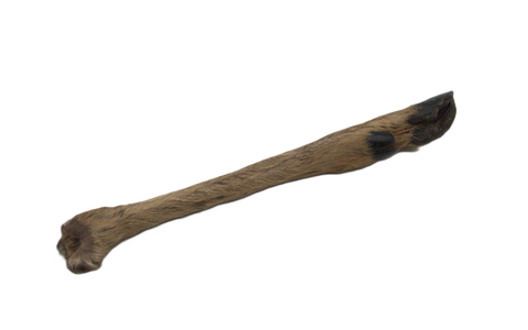 Anco Natural Hairy Roe Deer Leg
