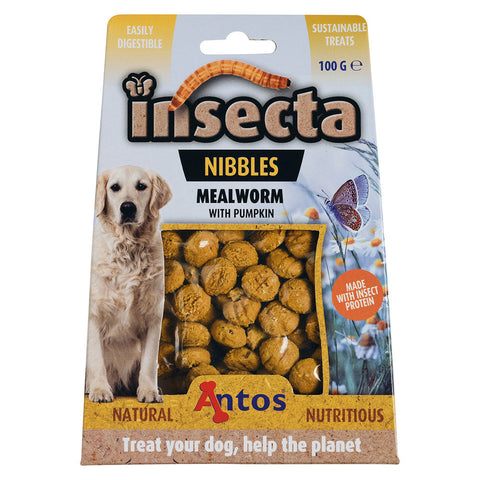 Insecta Nibbles Mealworm with Pumpkin