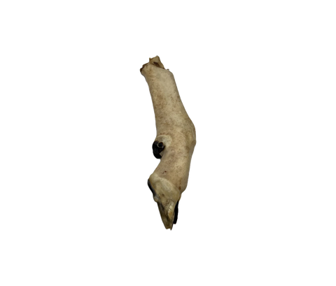 Anco Natural Lamb Trotter
