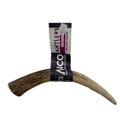 Anco Medium Antler