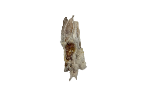 Rabbit Ear Single