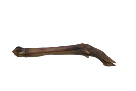 Anco Natural Roe Deer Leg
