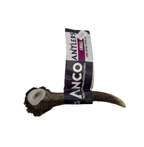 Anco Small Antler