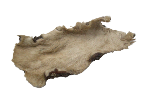 Nova Xl Beef Skin